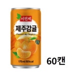 (형제)다인음료 서편제 프리미엄다인 제주감귤맛 캔음료수 175ml, 60개 : 유한회사형제비품