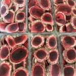 농장직영 내몸에 진한 중탕 분골 상대 중대 국내산 생 녹용진액 110ml, 60개 : 홍정흑염소사슴농원