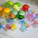6차 거북이 스쿱마켓 오픈 : 페이보릿공방