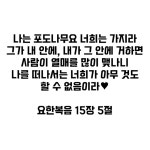 나는 포도나무요 너희는 가지라 [요15:5] - 성경 말씀 레터링 스티커 : 은혜로상점