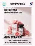 NMN알부민플러스 : 샛별종합물산
