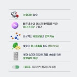 탑엔이엠이 | 7차분입고완료!! 리뉴얼 엔오바이오 탑엔오울트라 1박스 60정 산화질소대사체 천현수박사 건강기능식품 : 엔오바이오