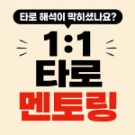 [위즈타로] 타로카드 독학 초보자 질문 1:1 타로 멘토링 실전 해석 Q&A : 위즈타로
