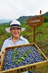 산지직송 이수미팜베리 유기농블루베리 350g, 1개 : 이수미팜베리