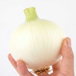 26년 국내산 햇양파 무안 창녕 3kg 5kg : 맛뜨레