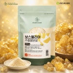 인도산 보스웰리아 가루 분말 유향 추출물 효능 효과 먹는방법 500g, 1개 : 자유장터