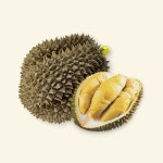 가시리안반장 | [한정수량] 태국 생두리안 통두리안 항공직송 Durian : 먹거리반장
