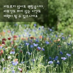 [무주크리에이투어]마을에서 평일쉬어가기로[솔다박마을] : 전북농촌여행