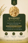 발아현미 : 건강밥상 비담채