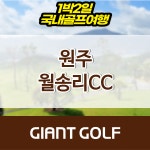 원주 월송리cc 패키지 예약 1박2일 36홀 : 자이언트 골프패키지