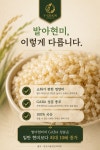 발아현미 : 건강밥상 비담채