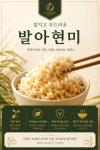 발아현미 : 건강밥상 비담채
