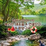 [여름이벤트-기차] 7/17 18확정 속리산 세조길 법주사 정이품송 연꽃 화양구곡 당일여행 : 착한여행6952