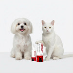 (DOG/CAT) 메디코펫 퍼스트케어 이어클리너 외이염 반려동물 귀세정제 120g, 1개 : 메디코펫 청담닥터스랩