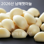 [26년산 햇마늘] 남해산 100% 국내산 깐마늘 산지직송 아이스 포장. 대 꼭지제거마늘, 5kg, 1개 : 남해푸른농산