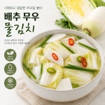 선화동 일억조 국내생산 실비 배추무우 물김치 : 대전실비김치