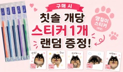버박 칫솔( 색상 랜덤) : 광안리 K동물병원