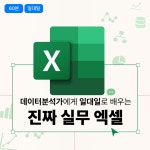 데이터분석가가 알려주는 일대일 직장인 실무 엑셀 과외 1:1 온라인 맞춤 수업 (60분) : 먼데이키퍼