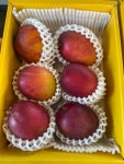 위미리감귤농장 고당도 제주 애플망고 3kg 2kg 산지직송 : 위미리감귤농장