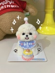 펫스튜리 강아지 생일 케이크 입체 수제 반려견 저알러지 미니 단호박 고구마 : 펫스튜리petschurri