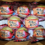 경북 아오리 청사과 햇사과 못난이 가정용 세척 개별포장 선물용 : 구씨 농장