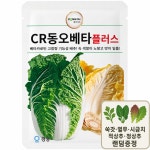 CR동오베타플러스 배추씨앗 500립 소독필 김장배추 종자 텃밭 주말농장 노지재배 : 남흥원예사