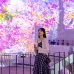 제주 노형수퍼마켙 +족욕체험 +낙타트래킹 +조안베어 +고흐정원 / 제주도 여행 실내관광지 : WEPICK