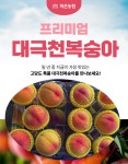 김천 대극천복숭아 백도 특로얄과 하은농원, 2KG, 1개 : 최고의 하은농원