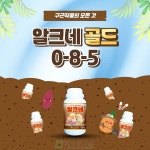 알크네 골드 : 중앙아그로