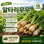 강원도 알타리무 : 평창농부들 사회적협동조합