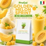 프리젤 PreGel 황금멜론스프린트 젤라또 소프트 원료 스무디 카페음료 1.32Kg 10봉 : 그래그몰