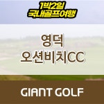 영덕 오션비치cc 골프여행 리조트 1박2일 36홀 패키지 : 자이언트골프 국내해외 예약
