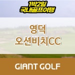 경북골프장 영덕 오션비치cc 리조트 1박2일 36홀 패키지 : 국내 해외골프 부킹예약센터