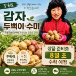 강원도 감자 두백이,수미감자 : 평창농부들 사회적협동조합