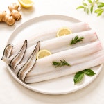 자연산 통영 바다장어 1KG 손질후 750G 구이 국내산 아나고 붕장어 : 진해물산