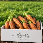 제주 구좌 국산 흙당근 3kg 5kg 10kg : 나눔농산물