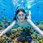 다낭 참섬 해적호핑 호이안 올데이 투어 호핑투어 스노쿨링 올드타운 바구니배 소원배 패키지 : 트립온 TripOn