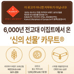 웰러스 프리미엄 효소 위드 카무트 호라산밀 3g 30포(1개월분) : 에스엠헬스코리아