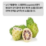 프로페셔널 노니 안티링클 아이크림 40ml, 2개 : 데일리픽앤