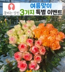 (여름이벤트)장미 10송이 꽃피는 강진 생화 장미꽃 꽃다발 기념일 생일 선물 10송이 농장직송 : 꽃피는 강진