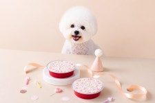 해피팡팡 강아지 생일 케이크 수제 간식 빵 케이크 : 해피팡팡