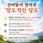[요한농원직송] 충북 음성 감곡 햇사레 복숭아 특품 백도, 3kg, 12개 : 산지마루