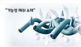 머슬핏반팔 기능성반팔 기능성 티 여성 티 오버핏 티셔츠 쿨 : 영더기상점
