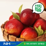 [대경사과원예농협] 경북 천도복숭아 13-16과, 2kg, 1개 : 농협유통 양재하나로클럽