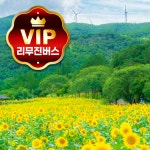 8월2일 성남용인출발 여름 태백 해바라기축제 구와우마을 황지연못 용연동굴 당일치기 버스여행 : 해솔투어
