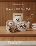 펫로스공예지도사 2급 자격증 재료 패키지 : 프래들소소한작당