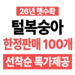 [초특가] 산지직송 초고당도 털복숭아 새콤달콤 중소과 : 정인 상회