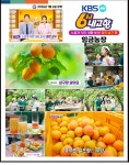 [산지직송] 임금농장 프리미엄 영천 노지 만금살구 2.5kg 5kg : 임금농장