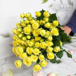 장미 10송이 장미꽃 농장직송 전국배달  땅심 강진 생화 꽃다발 기념일 생일 선물 : 땅심장미