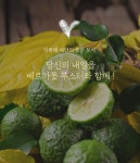 베르가못 베르가못효능 베르가무 60정, 6개 : 장바이오